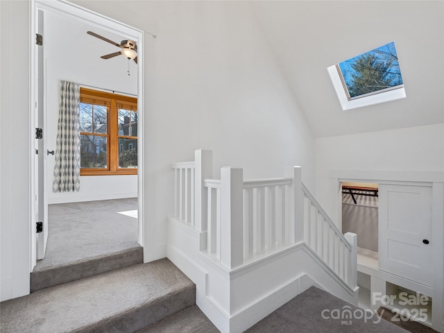 stairs with vaulted ceiling with skylight and carpet