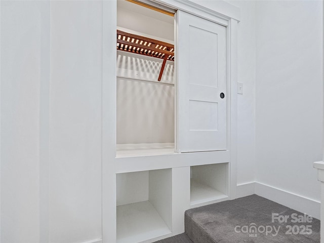 mudroom with carpet