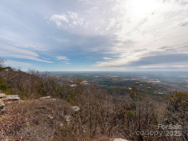 view of local wilderness