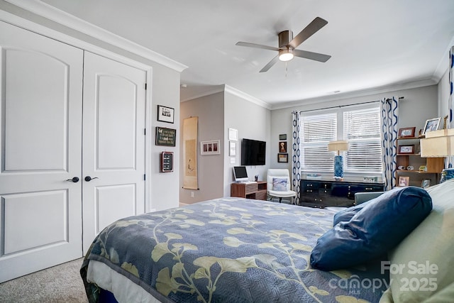 bedroom with carpet flooring, a closet, ceiling fan, and crown molding