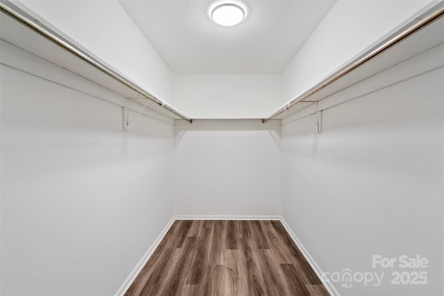 walk in closet with hardwood / wood-style flooring