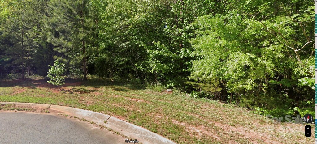 7901 Wilson Ridge Ln, Charlotte, NC 28227 - photo 2