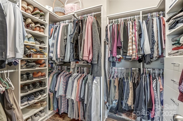 spacious closet featuring wood-type flooring