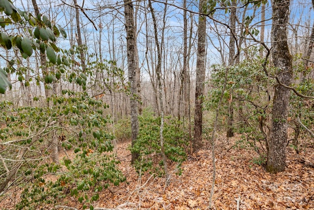 Listing photo 2 for TBD Faircrest Ln, Hendersonville NC 28792