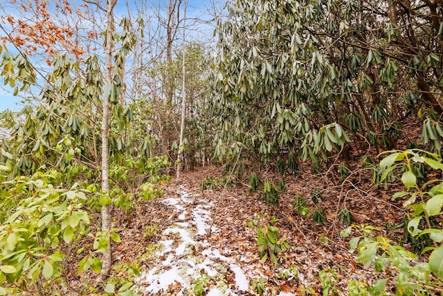 Listing photo 3 for TBD Faircrest Ln, Hendersonville NC 28792