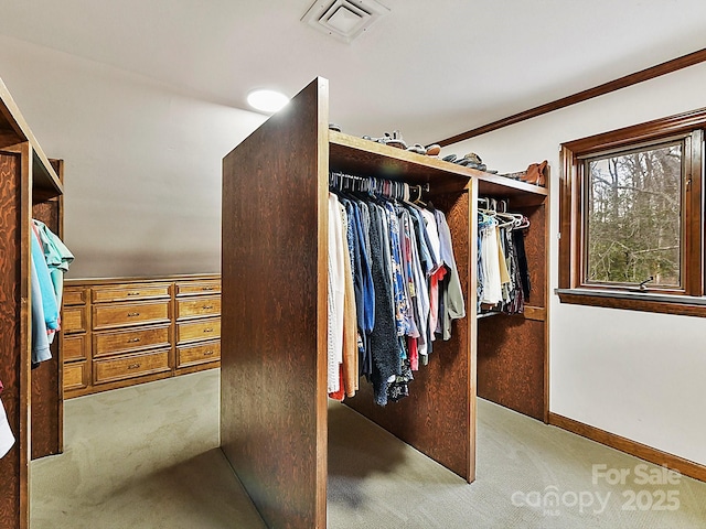 spacious closet featuring light colored carpet