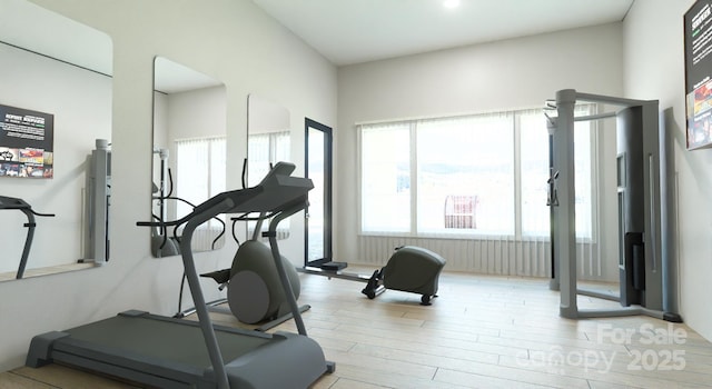 exercise area with light hardwood / wood-style floors