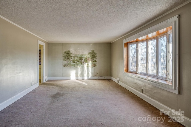 unfurnished room with ornamental molding, carpet, and a textured ceiling