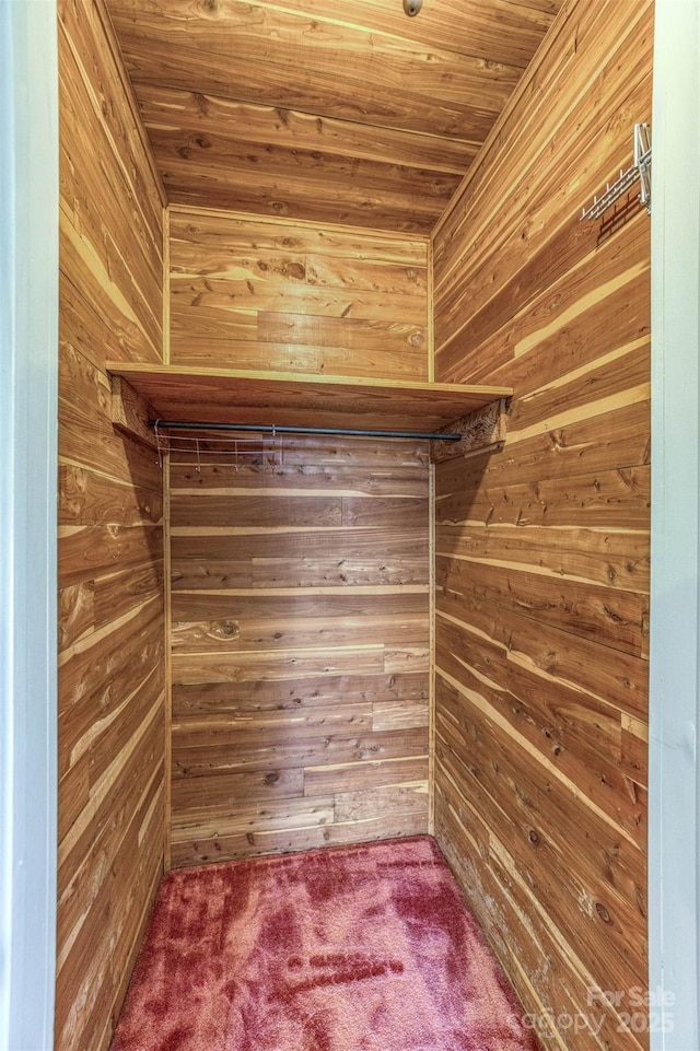 spacious closet featuring carpet flooring