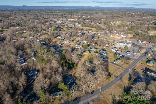 drone / aerial view