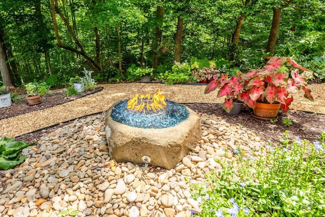 view of yard with an outdoor fire pit