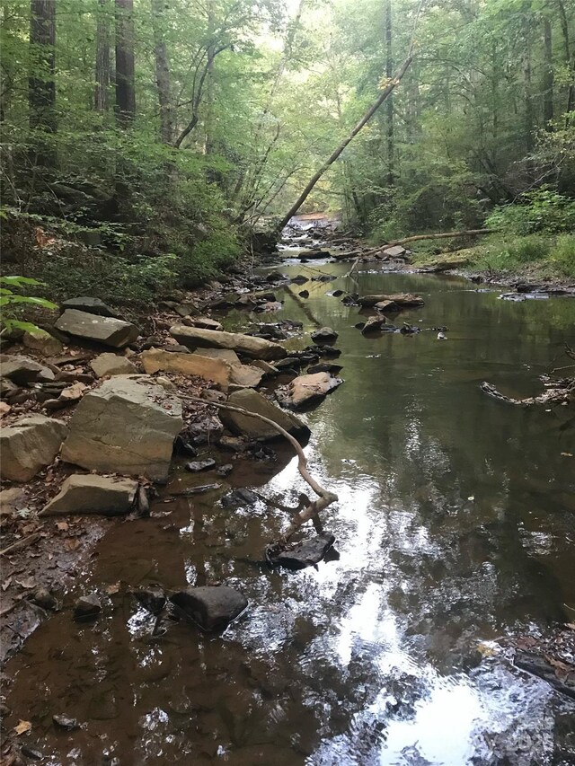 view of local wilderness