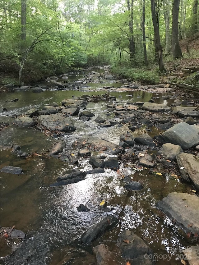 view of local wilderness