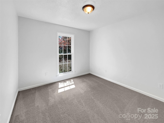 empty room featuring carpet floors