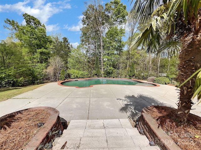 view of swimming pool with a patio area