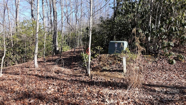 62 Stone Brook Trl Unit 10, Black Mountain NC, 28711 land for sale