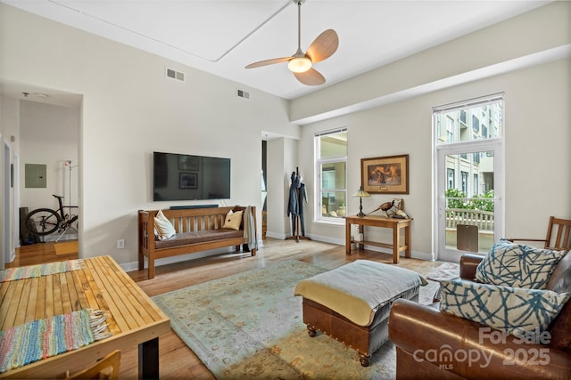 living room with ceiling fan, electric panel, and light hardwood / wood-style floors