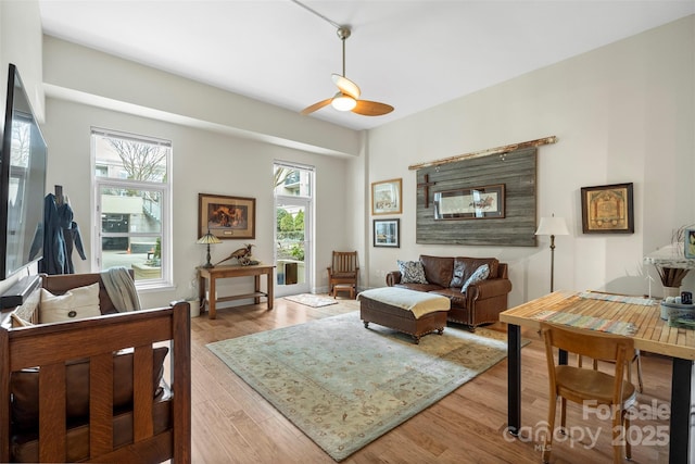 living room with ceiling fan and light hardwood / wood-style flooring