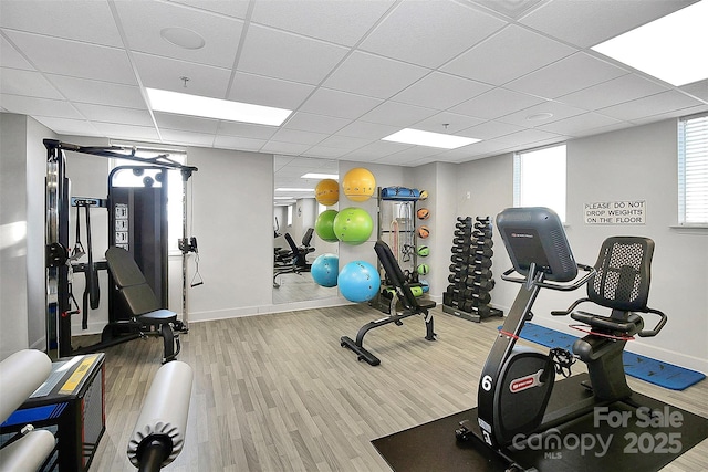 exercise area with wood-type flooring and a drop ceiling