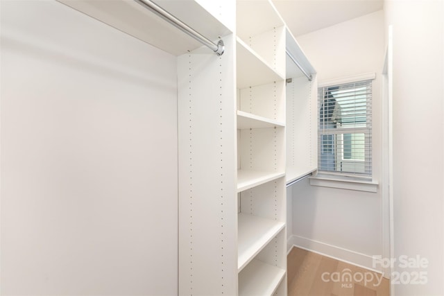 5048 York Park Ln, Charlotte, NC 28217 - walk in closet with wood finished floors
