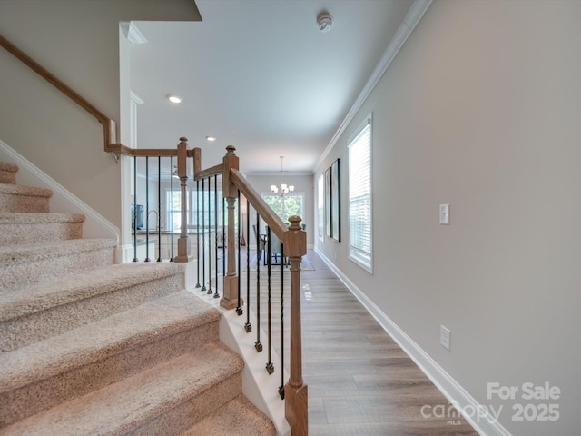 stairs featuring wood-type flooring, an inviting chandelier, and ornamental molding