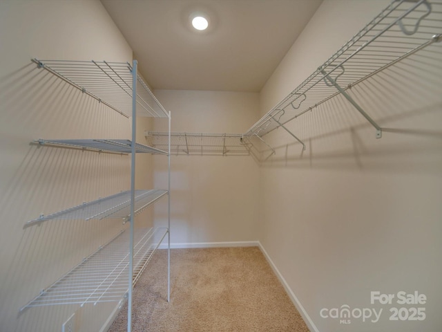 spacious closet with carpet floors