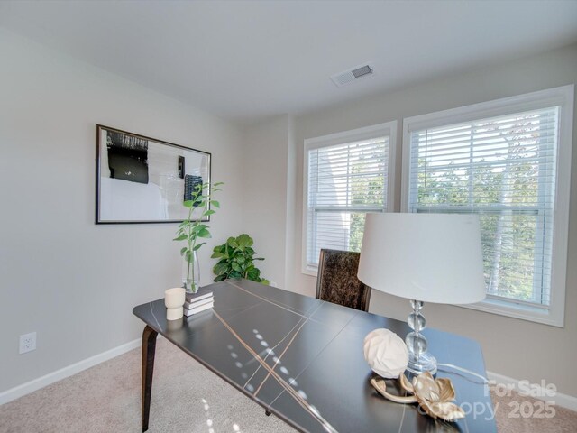 office space with carpet flooring