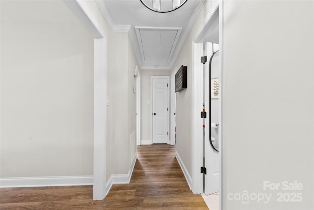 hallway with crown molding and wood-type flooring