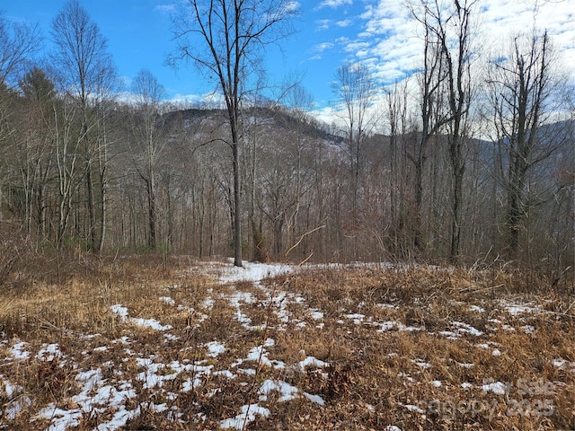 view of snow covered land