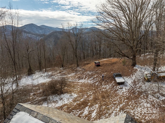 view of mountain feature