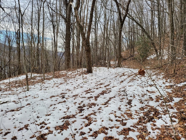 view of snow covered land