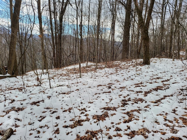 view of snow covered land