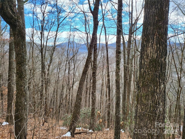 view of landscape with a mountain view