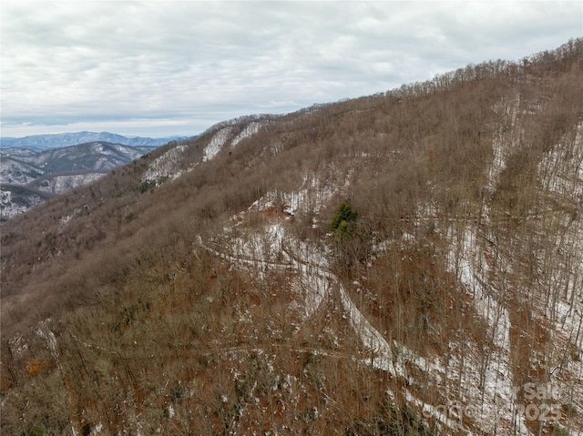 view of landscape featuring a mountain view