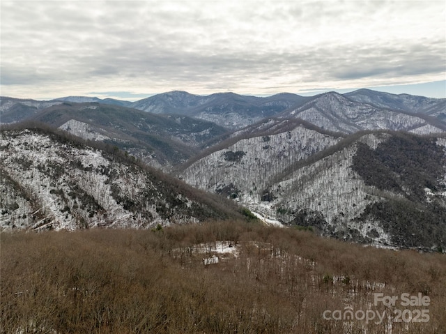 property view of mountains