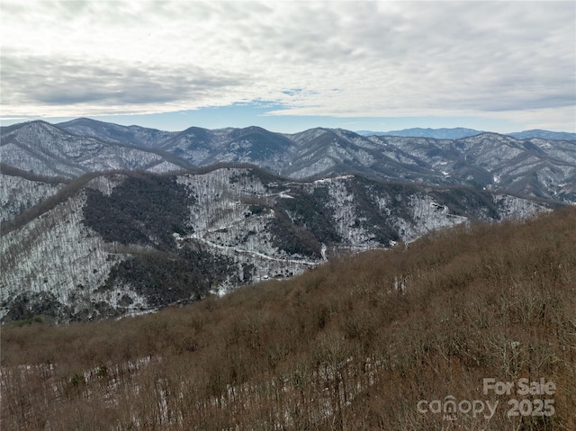 property view of mountains