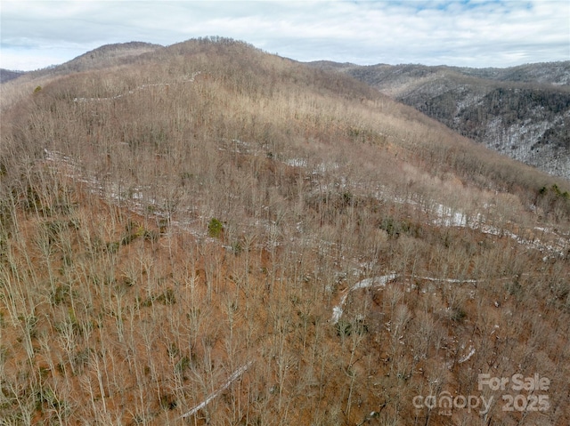 property view of mountains