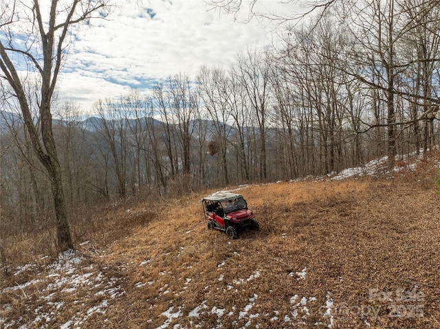 view of yard featuring a mountain view