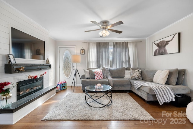 living room featuring crown molding, dark wood-type flooring, and ceiling fan