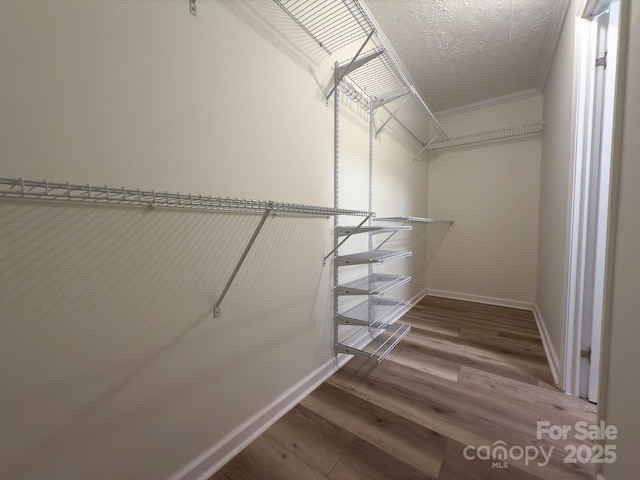 spacious closet with hardwood / wood-style flooring