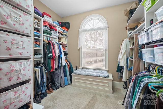 walk in closet featuring carpet floors