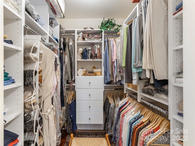 view of spacious closet