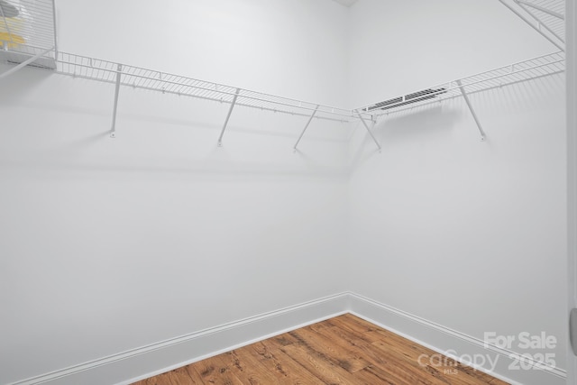 spacious closet featuring wood-type flooring