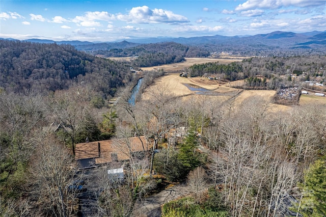 birds eye view of property featuring a mountain view