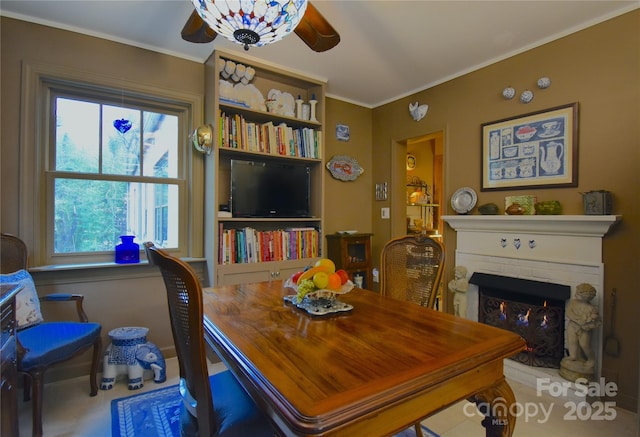 dining space with a warm lit fireplace, a ceiling fan, and crown molding