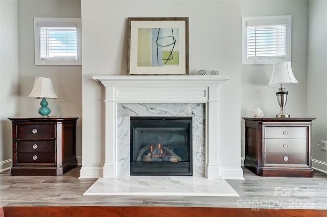 details with hardwood / wood-style flooring and a fireplace