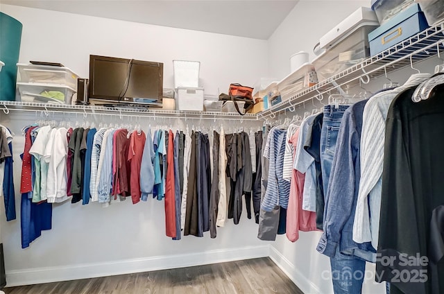 walk in closet featuring hardwood / wood-style floors