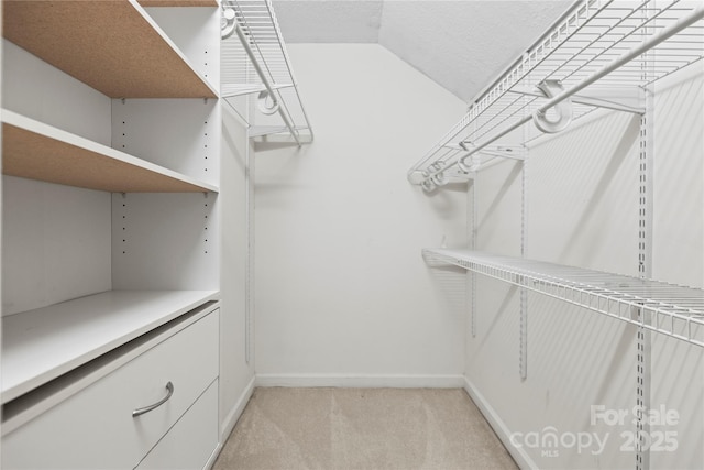 spacious closet with light carpet