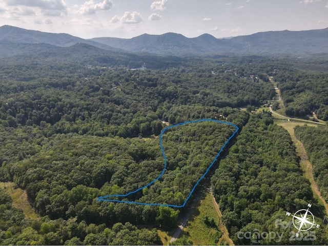 1434 New Market Rd, Tryon NC, 28782 land for sale