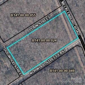 316 Plain St, Bethune SC, 29009 land for sale